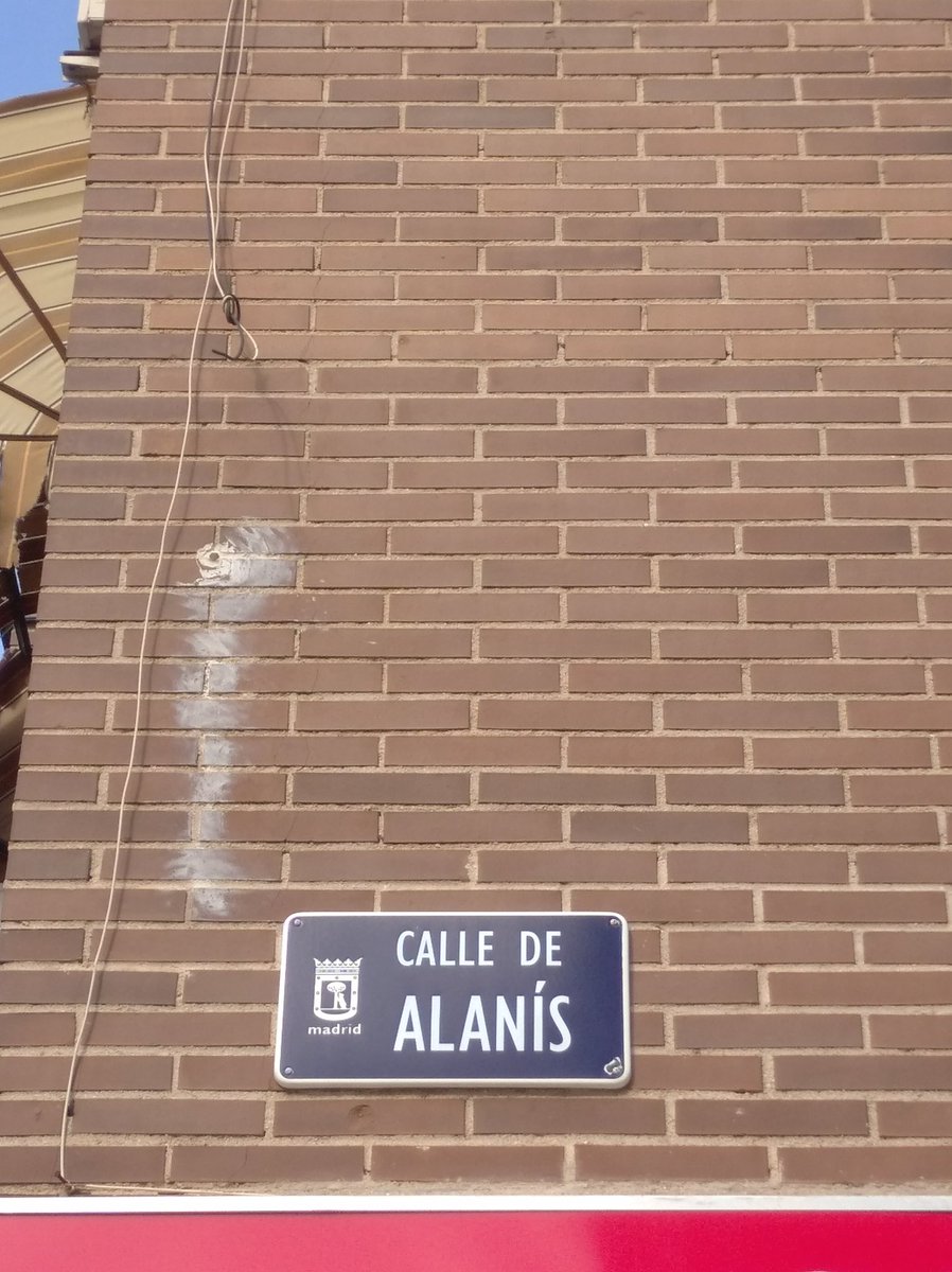 dillo10's tweet image. And ya I really do think