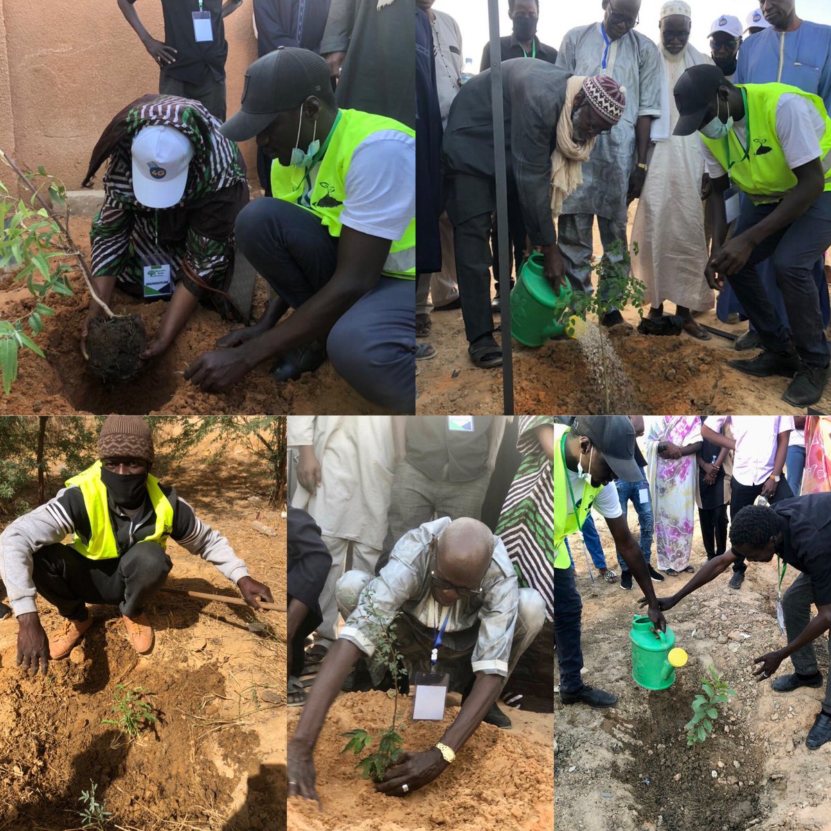 Campagne de reboisement des #plantes médicinales à #Tekane en #Mauritanie   actume.org/blog/pharmacie… <a href="/ArtemisiaMaison/">🌿 Maison de l'Artemisia 🌿</a> <a href="/VilleCourbevoie/">Ville de Courbevoie</a>