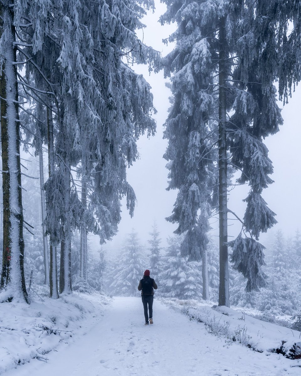 dennisaden_'s tweet photo. My first post here on Twitter 😊 Can't wait for the new experience 😊

#photography #outdoor #winter https://t.co/sWFekKSEjm