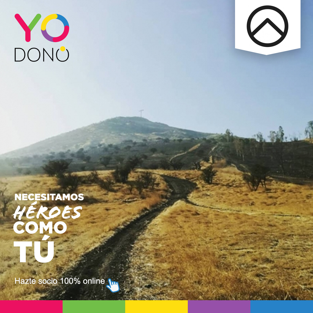 <a href="/StgoCerrosIsla/">Fundación Cerros Isla</a> es una organización sin fines de lucro que busca valorizar, integrar y aprovechar los elementos naturales de nuestro paisaje para mejorar la calidad de vida de nuestra ciudad. 

Aporta y hazte superhéroe 100% online
👉 yodono.cl/donar/66