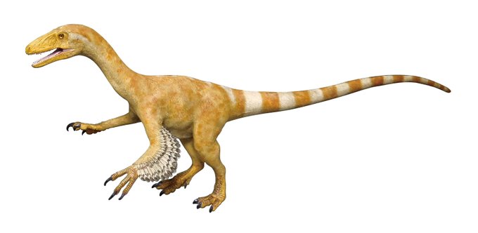 恐竜 高画質 のtwitterイラスト検索結果 古い順