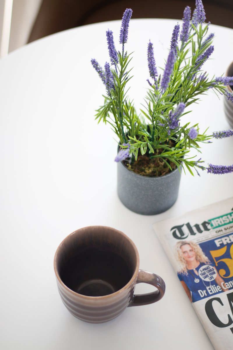 theviewmalahide's tweet image. Taking 5 in @theviewmalahide 

#coworking #coworkingcommunity #coworkinglife