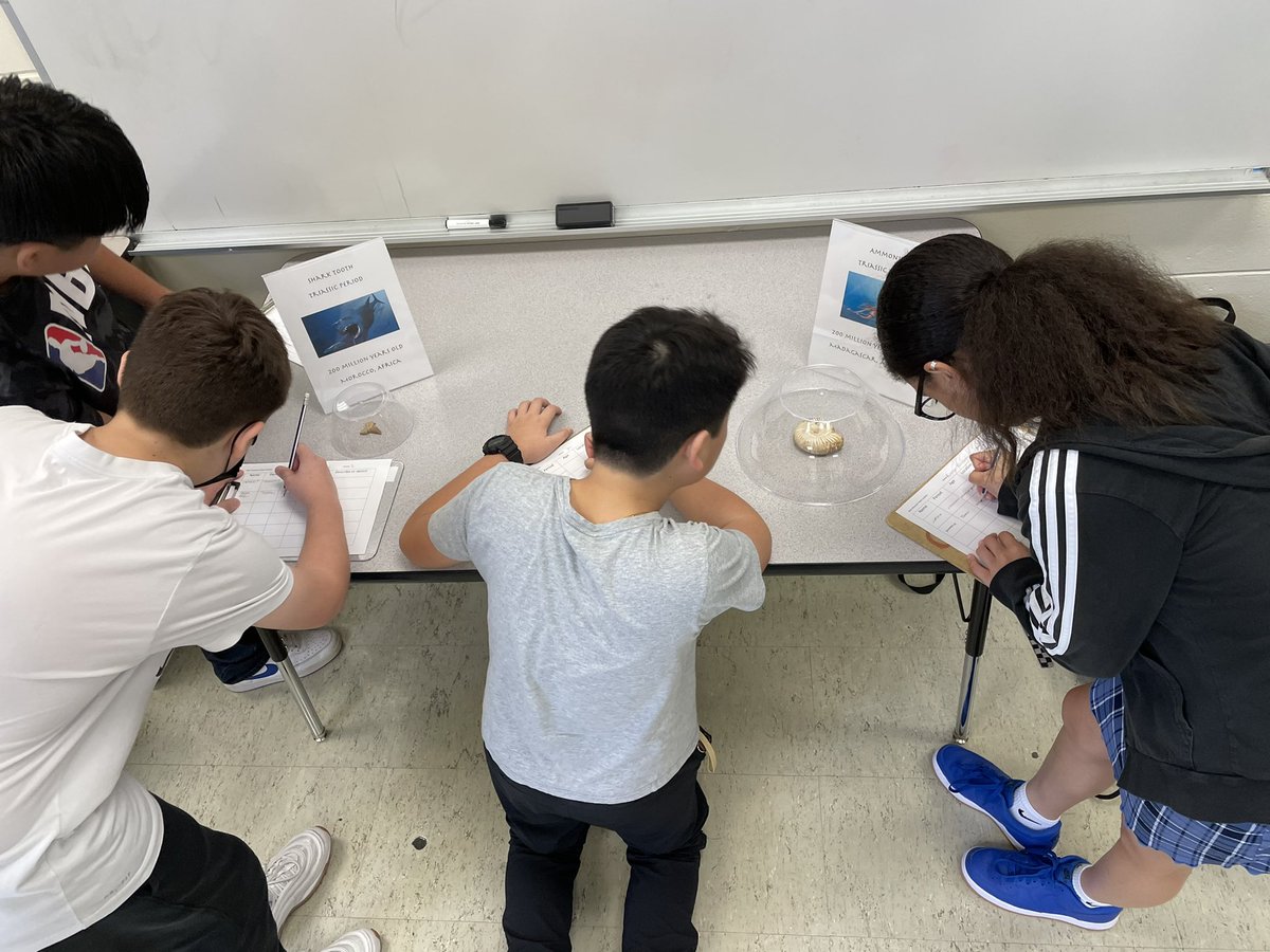 MsFoxGMS's tweet photo. So excited for our year 2 students to explore fossils today. Thank you to The MAPS museum for loaning such great artifacts!  #pascodoingscience @GMSBucs https://t.co/wRmn5DZe3V