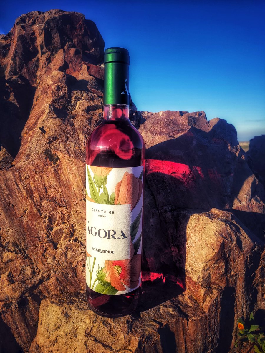 Disfruta nuestro AGORA MALBEC ROSADO ww.aruspide.com
#Aruspide  #clubagora #agora #winelover #vinos #winetasting #winetime #wines #valdepeñas