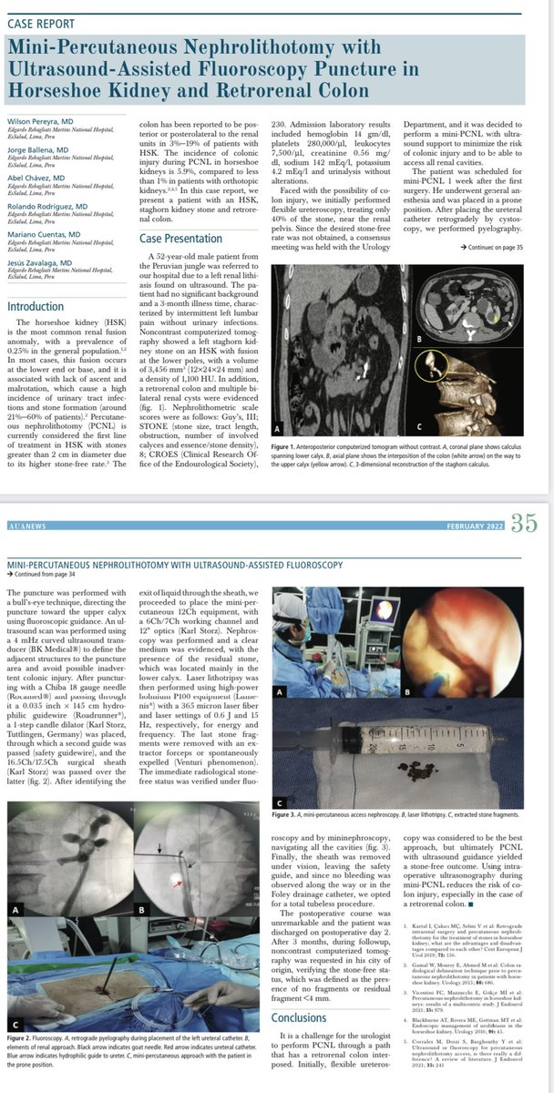 Jorge Luis Ballena, MD. tweet media