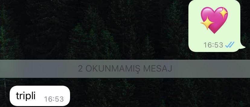 tam olarak böyle hayatm