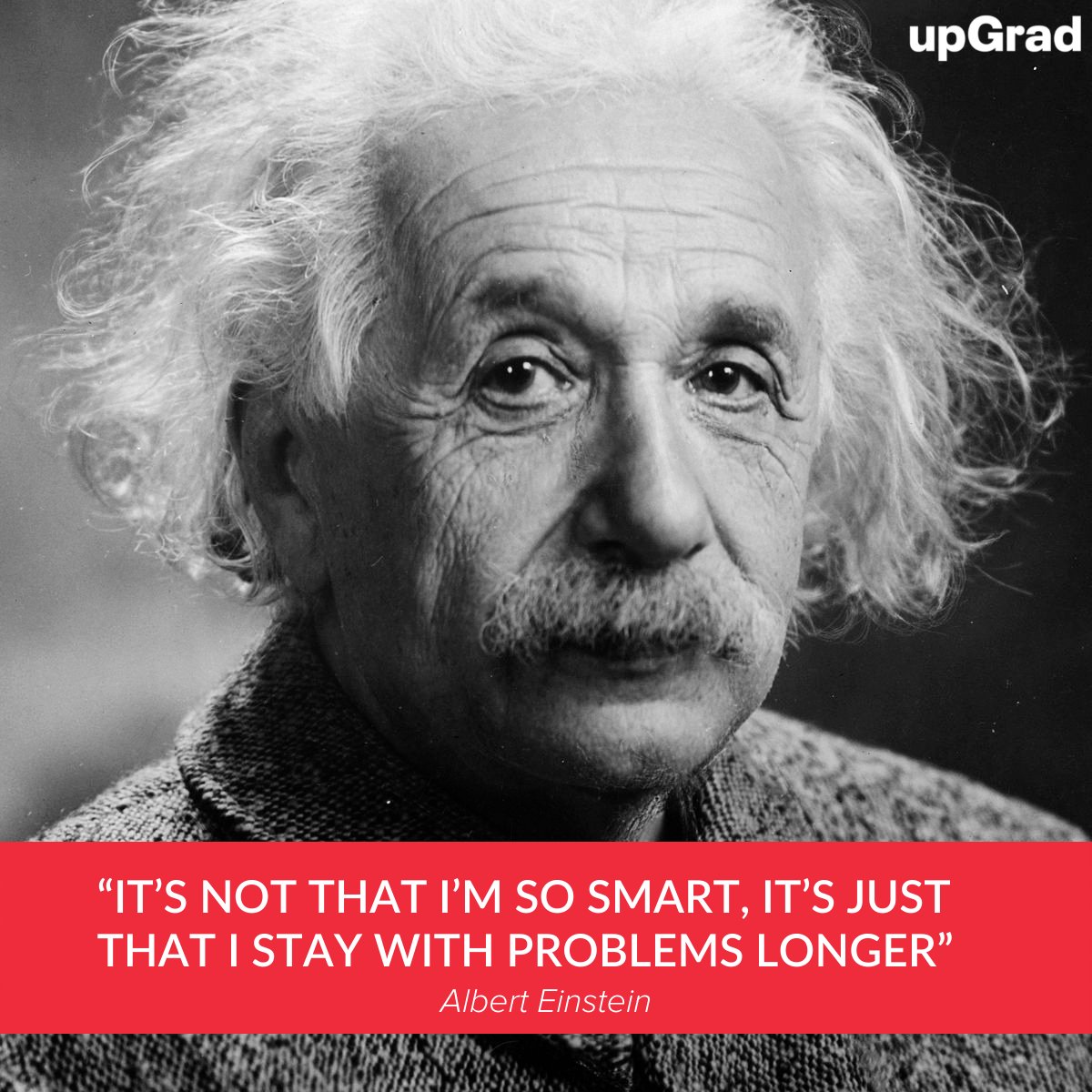 upGrad_EMEA's tweet photo. Sticking with it is the key to getting through any challenge!

#Einstein #thoughts #ThoughtOfTheDay https://t.co/ImPXSW64W8