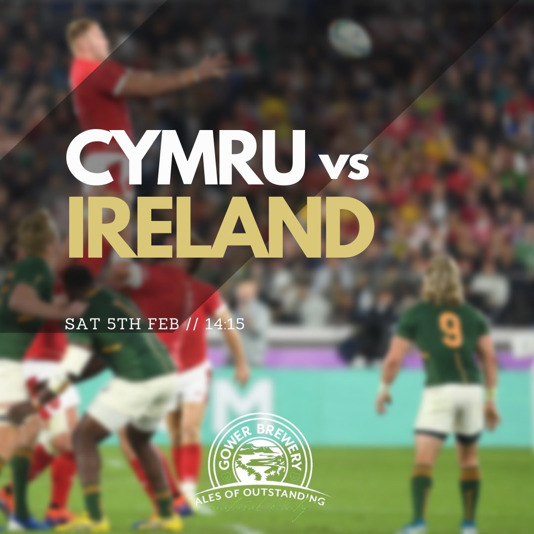 Gower Golds at the ready! 🌞🍺 Who's ready for kick off on Saturday? 

Cymru am Bydd 🏉🏴󠁧󠁢󠁷󠁬󠁳󠁿 Lets goooooo 🙌🍻

If you still need beers, pick them up here 👇

gowerbrewery.com/collections/12…

#Gowerbrewery