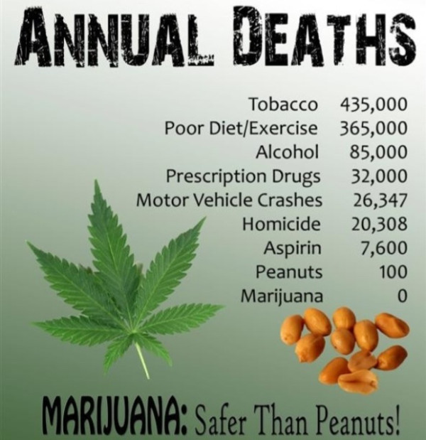 skohayes's tweet image. How dangerous is cannabis compared to alcohol or tobacco?