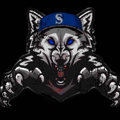 InW0lvesWeTrust's tweet photo. Da Wolves get to houlin’ cause they hungry, I feed em’ succas‼️🐺🐺🐺🚾♿️🌀💙🏆@Wolfpacc_Prod ™️🐺💙📊
#Wolfpacc #DaLabel #NewYear #NewGoals #NewStart #ClothingLabel #MusicLabel #NewProfilePic https://t.co/CxtEJGNJz9
