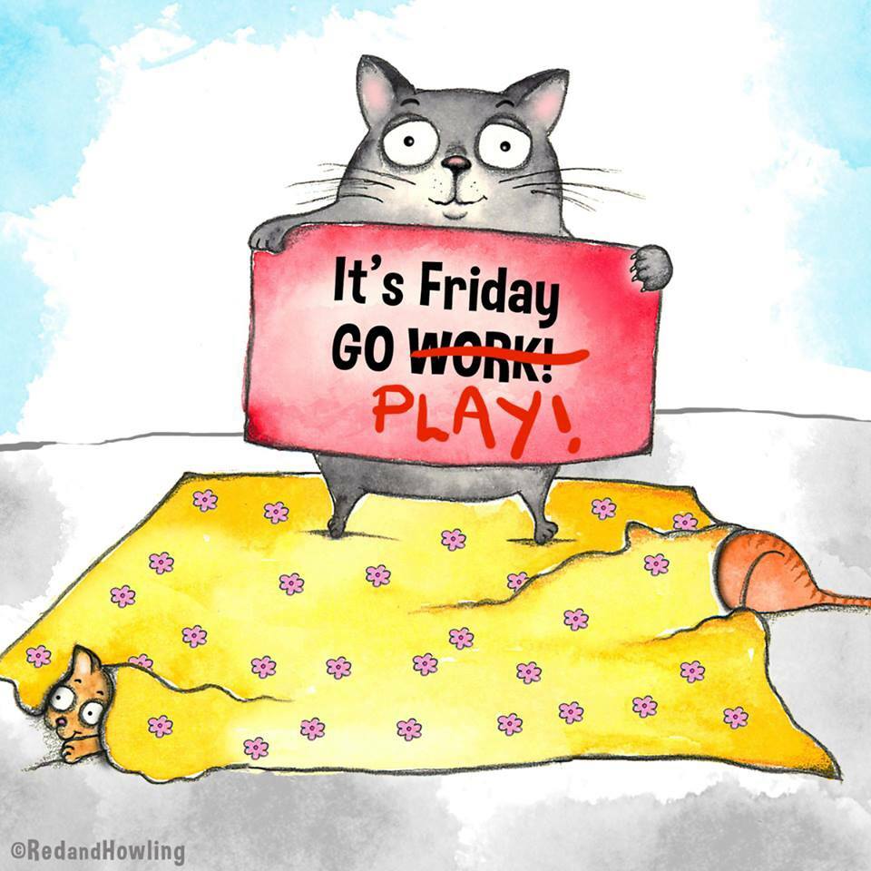 RT @purringtonpost: Happy #felinefriday #catsrule https://t.co/W8PMheeQws