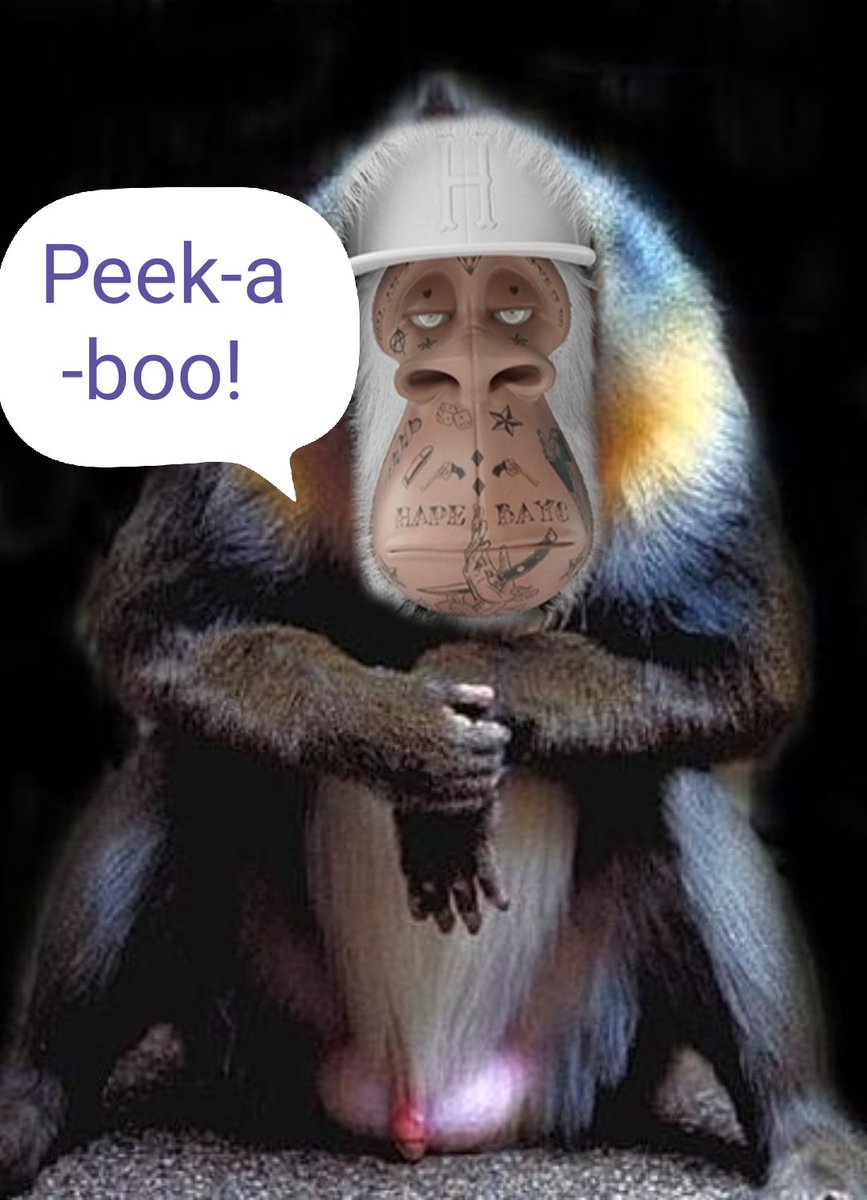 DirtDiggler tweet media