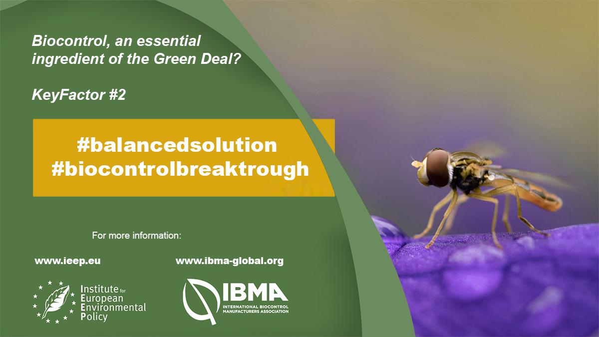 IBMAgl's tweet photo. New report by @IEEP_eu identifies benefits of #biocontrol. #Biocontrol can offer a systemic and balanced solution for #sustainable #agriculture. #biocontrolbreakthrough #soil #health #water #climate ✅https://t.co/xaYDv35GPu✅ #balancedsolution https://t.co/KjfSZVaYwE