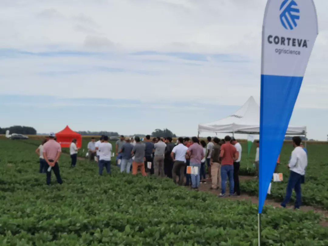Joselopinnel's tweet photo. Tremenda jornada de @RegAapresidTsAs . Presentamos todas las herramientas disponibles para girasol, soja STS y maíz. Y charlamos sobre el Sistema Enlist, fundamental para integrar la biotecnología con los fitosanitarios.
#Pixxaro #Remigate #Titus https://t.co/ohZAc59jXJ