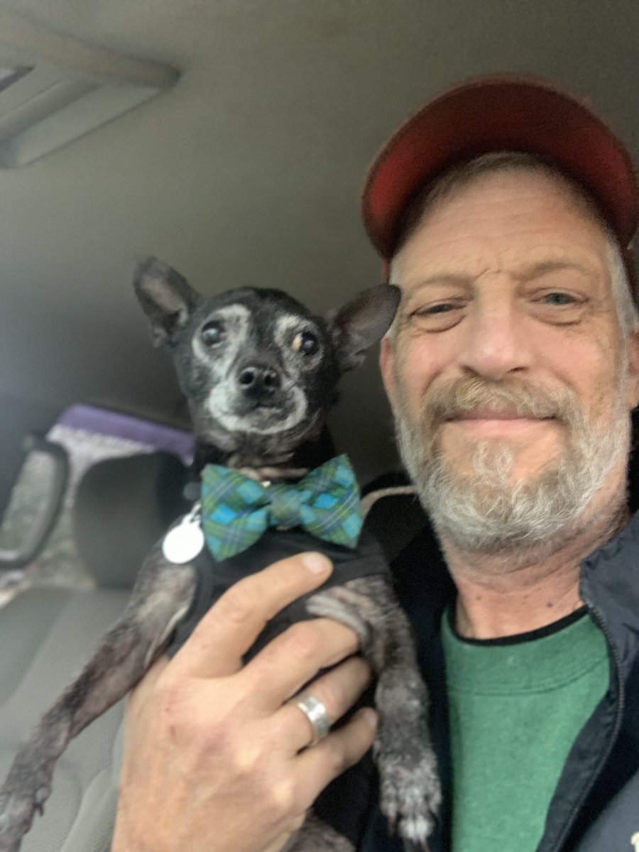 dcwingate's tweet photo. Dallas Trippin Friday 🐾🐾👅
Taking dad to gets his paycheck so I’s on da looks out for da bad men👀 #GrayFaceMafia #DogsofTwittter #AdoptDontShop #LilManD👅 #SeniorDogs #WorkingDog #NoTeef https://t.co/zKwLJTWWrq