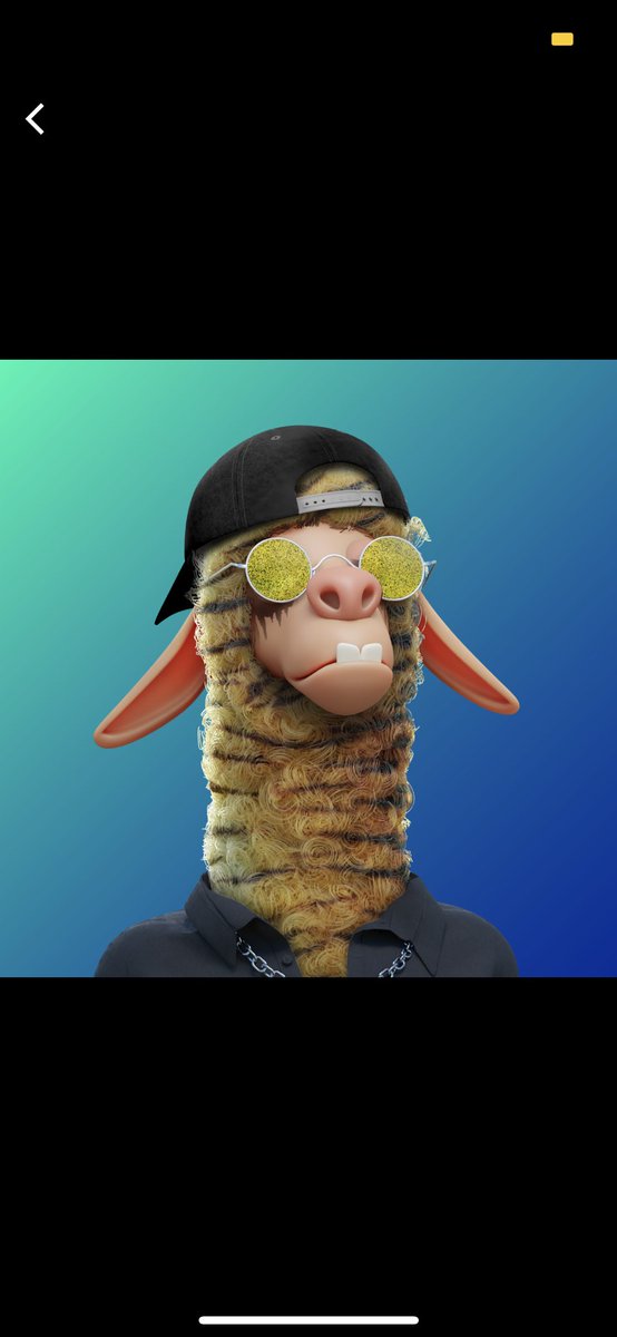 Finally joined the herd 😍 <a href="/LaidBackLlamas/">Laid Back Llamas</a> 
It was love at first sight