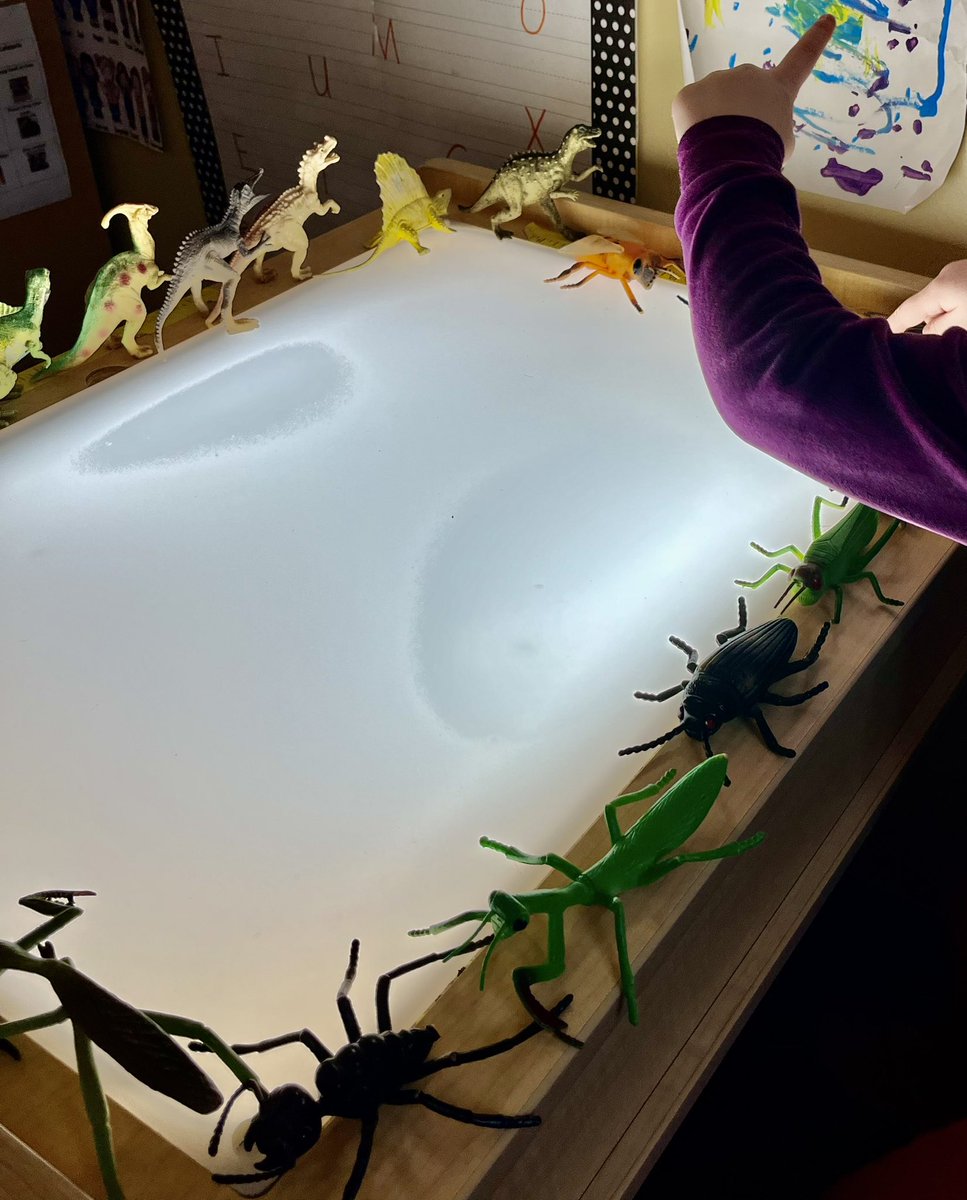 RCPS_EarlyLearn's tweet image. Dinosaur 🦕 / Bug 🐞 Parade 
#lightandreflection #science #dinosaur #bugs #prek #dph #pat