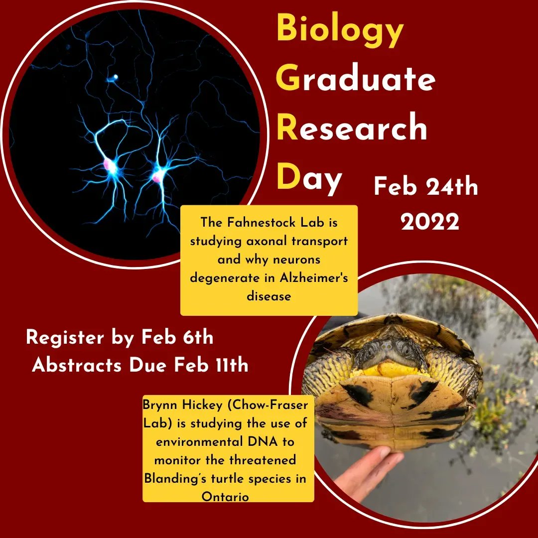 MacBGSS's tweet photo. Another reminder to register for GRD by February 6th!! Choose from 10 minute Research Talks, 5 Minute Proposal Presentation, a Poster Presentation and a 3 minute thesis! https://t.co/TLSyhBIxK7