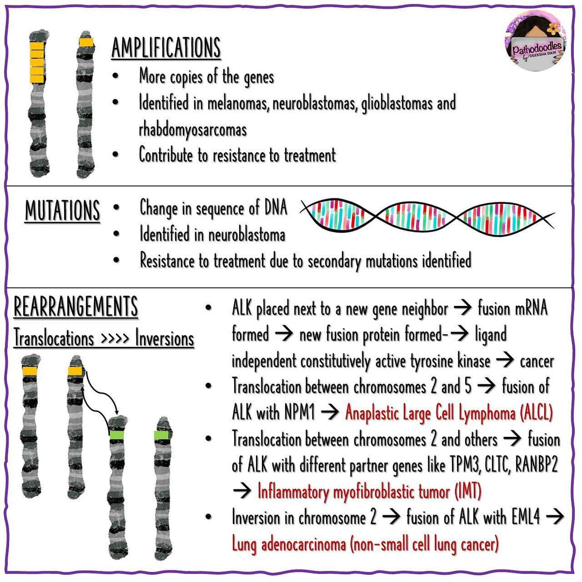 pathodoodles's tweet image. #MedStudentTwitter and #PathTwitter 

Haaaaave you met ALK ? 

#pathodoodles #ihc