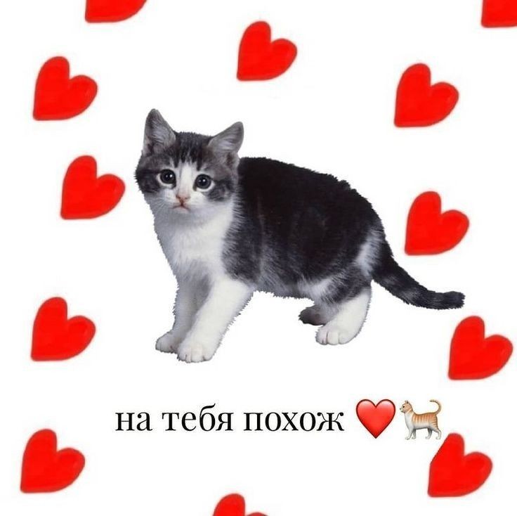 МОЙ МАСЕНЬКИЙ😭😭😭💘
