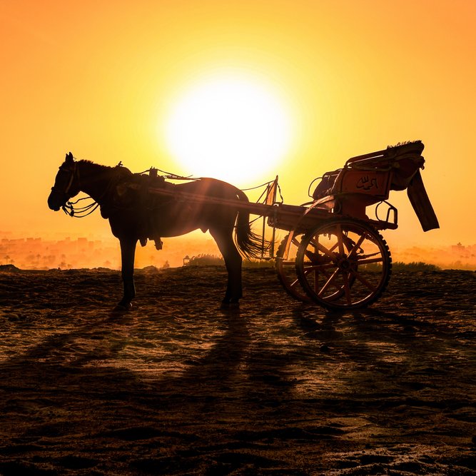 HowardsGroup's tweet image. CAR FACT FRIDAY

Did you know? 🤔

A dashboard was initially a piece of wood attached to a horse drawn carriage to prevent mud from splattering up from the horses and onto the driver. 🤠🐴 💩