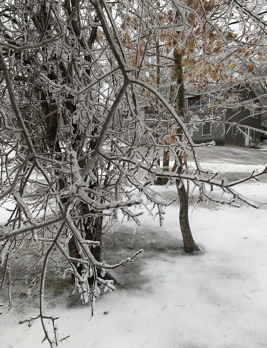 Epaisse couche de glace sur le nord-est des #USA, par exemple dans le Connecticut où un épisode de pluies verglaçantes important est en cours. 