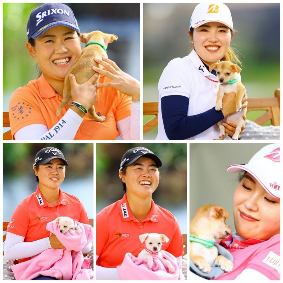 プロゴルファー花 最新情報まとめ みんなの評価 レビューが見れる ナウティスモーション