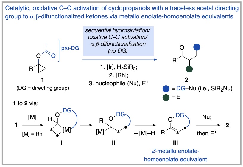 UTAChemistry's tweet photo. UTA Prof. Junha Jeon and team @JunhaJeonLab use clever chemistry 🧪 to turn cyclopropanols into functionalized ketones. 

Check out their recent article describing a 🆕 class of 7-membered Si-containing heterocycles!

#MaverickScience x @UTAScience 

🗞 https://t.co/HrEYSjmMcJ https://t.co/faHzXis45s