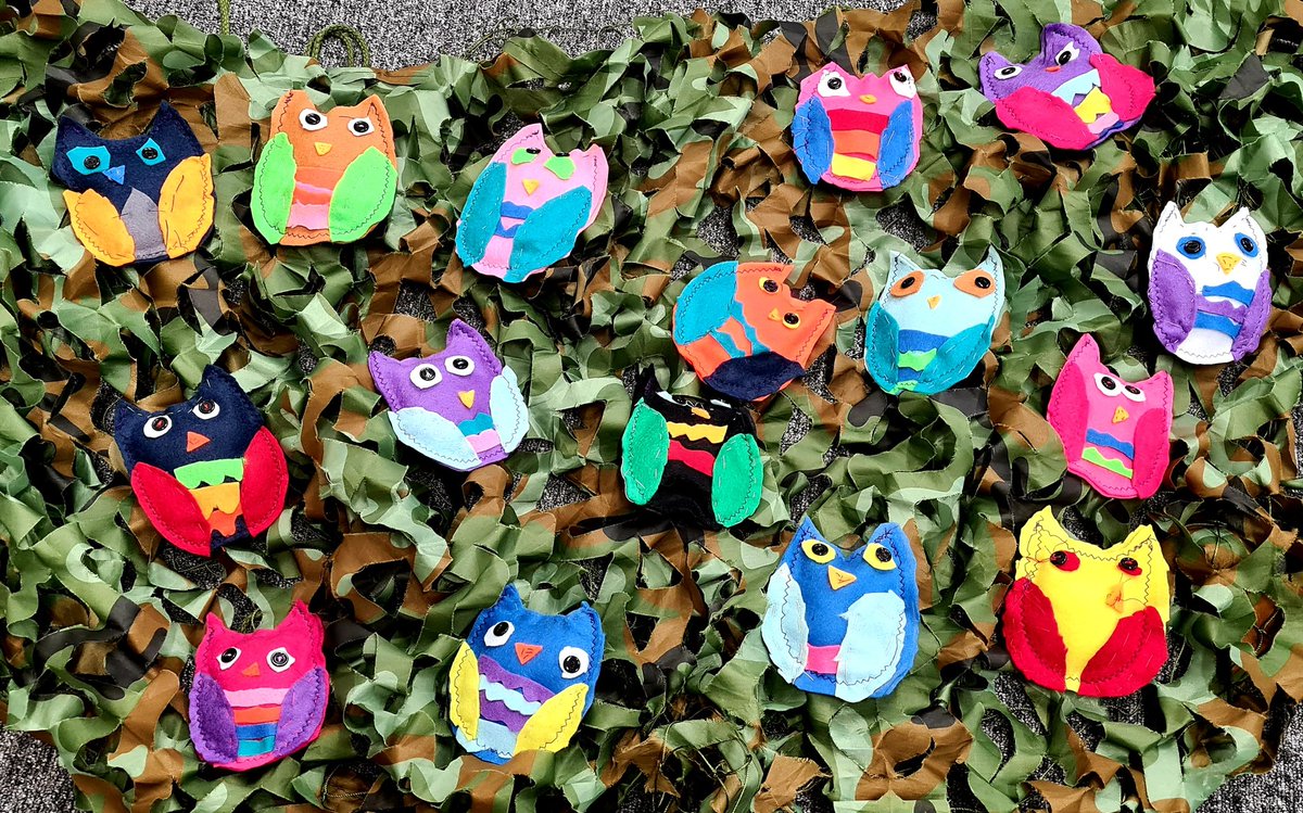 MissStemp's tweet photo. Twitter-twoo, look what P3/4 can do! Marvellous sewing skills over the last few weeks. @MeldrumSchool https://t.co/5UeeiyC3u8