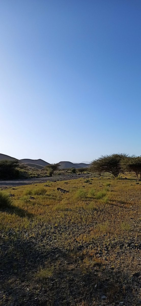 sajju_musthak's tweet photo. Left the location 🏞️ 🏜️ with a heavy heart 💓 #weekendvibes #treckking
#beautifuldestinations #omanspire https://t.co/ugXLKVU0Zh