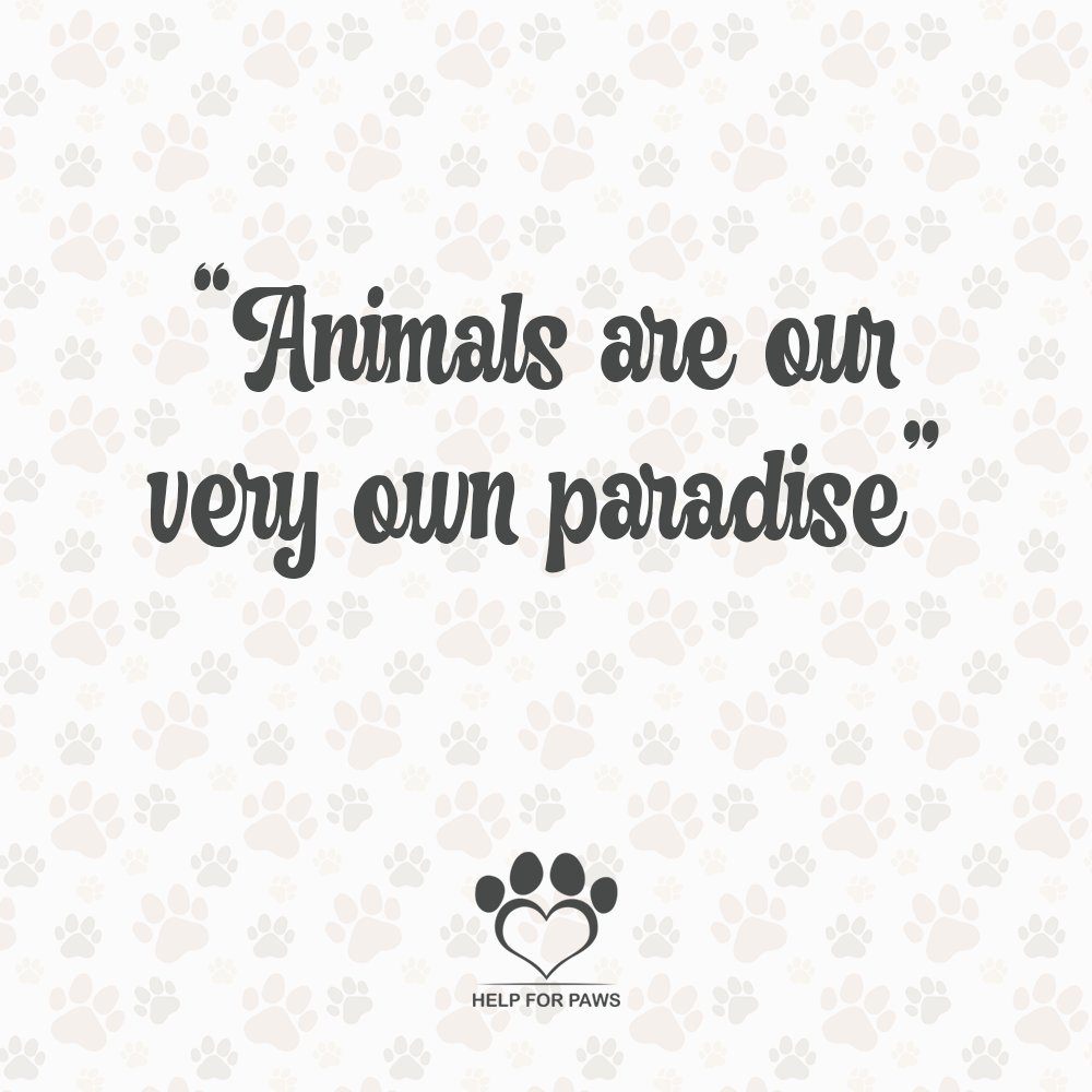 HelpForPawsUK's tweet photo. We just love them so much!
-------------------------
https://t.co/eOHnCAhyJF🐾
Every Purchase Saves Animals Lives❤️ https://t.co/MFdZmSDoCy
