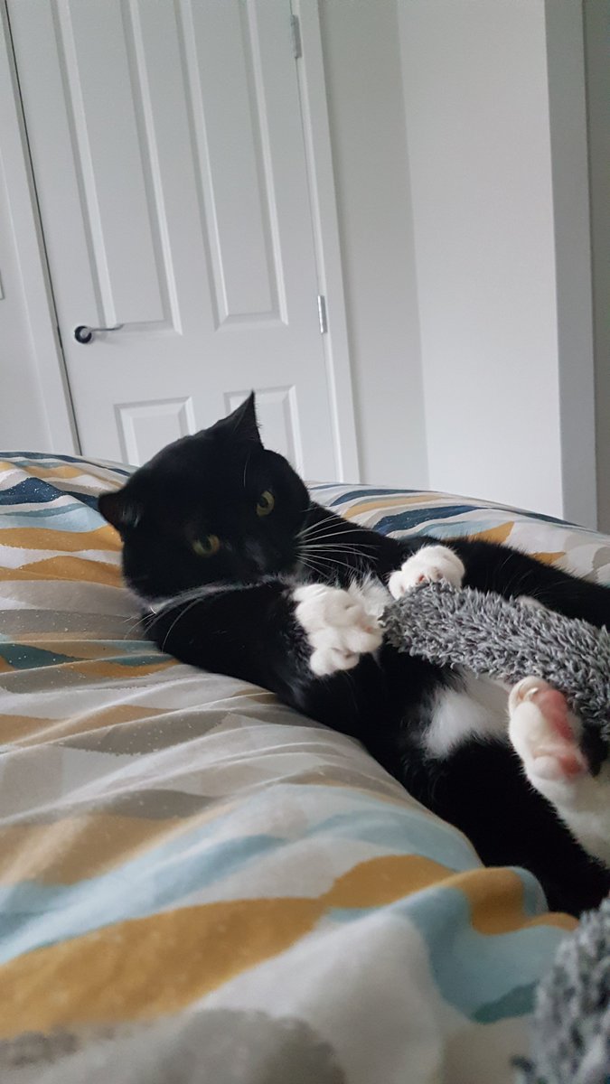 Adam Ryder tweet media