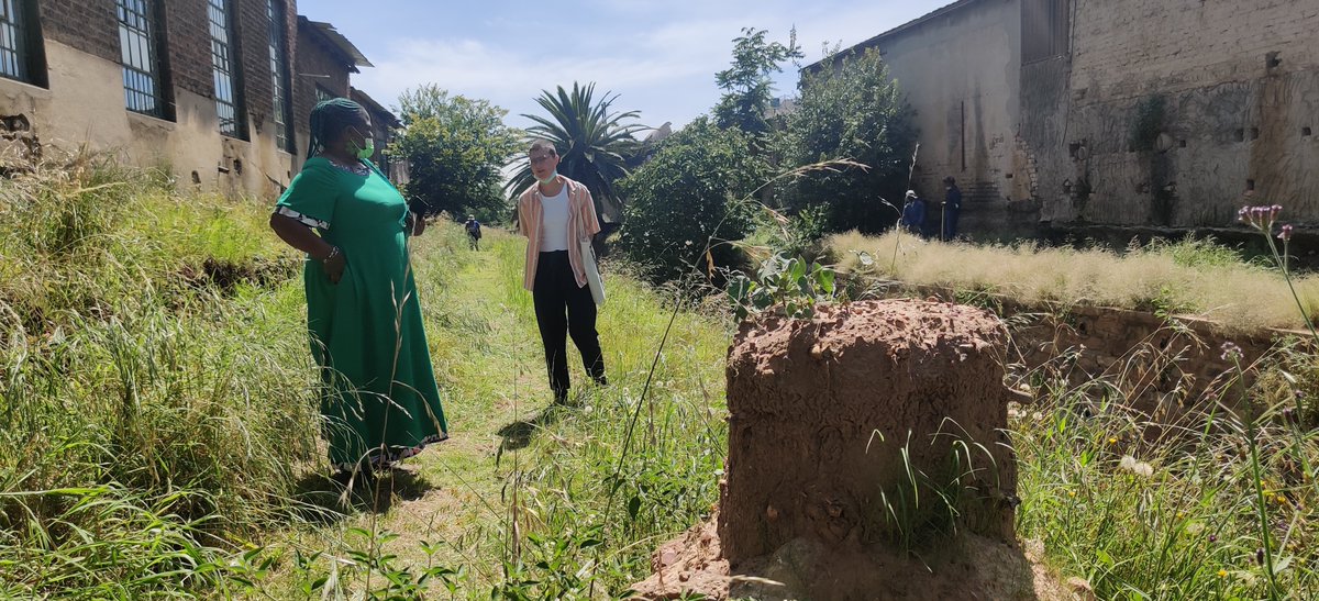 futurewater_SA's tweet photo. and hold a discussion on many complexities that traditional healers are facing in securing special plants. This is an evolving story and one that WFTF is so proud to be a part of producing. /5 https://t.co/vIJyp3T3WE