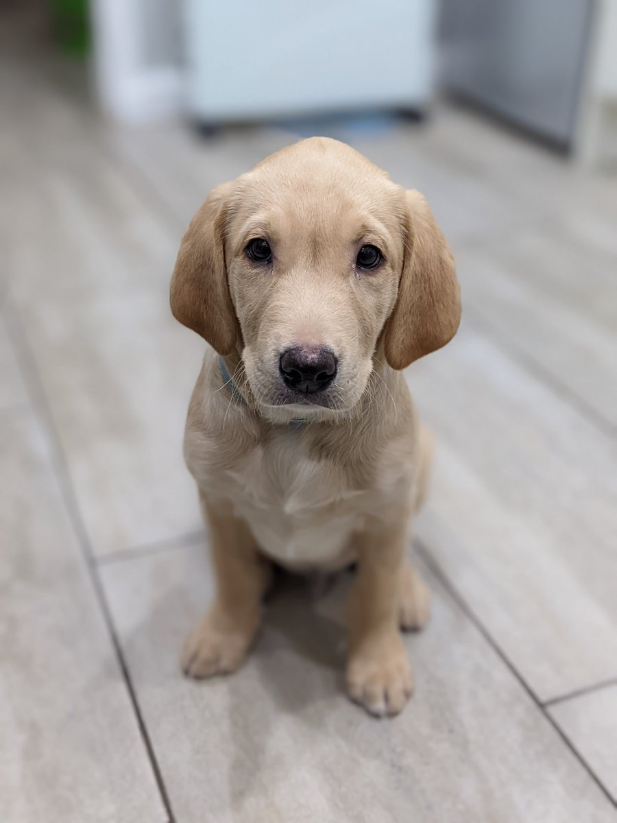 Amy Higgins tweet media