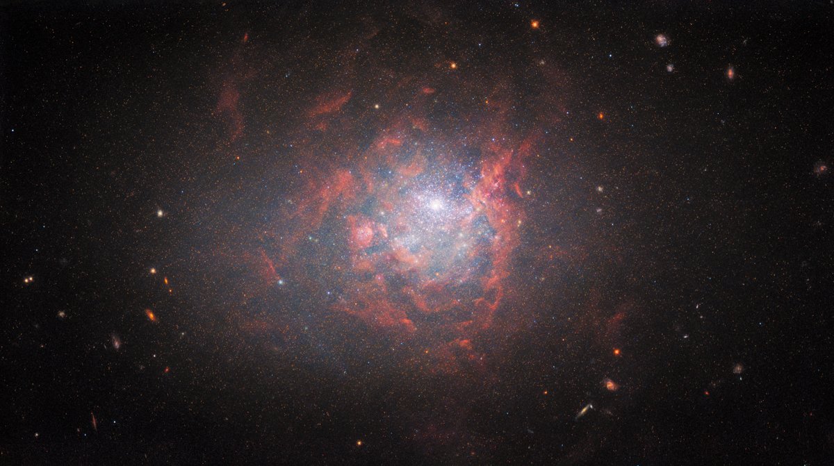 It's okay to be different! ✨

Take it from the dwarf irregular galaxy NGC 1705, glittering in this week’s #HubbleFriday image.

Approximately 17 million light-years from Earth, this galaxy is known as a cosmic oddball due to its size and shape. For more: go.nasa.gov/3rAKFdv