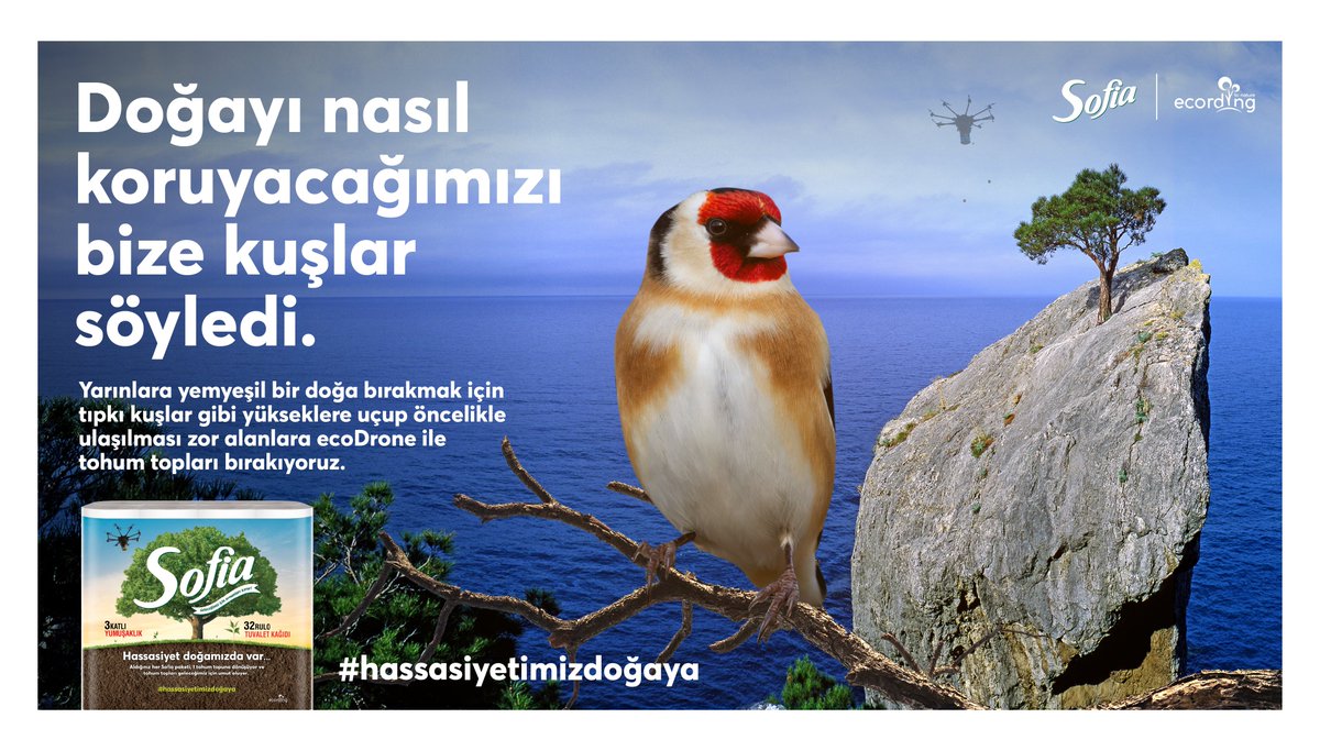fmcg_turkiye's tweet photo. #Sofia, 2 milyon tohum topunu toprakla buluşturuyor. “Hassasiyetimiz Doğaya, Mirasımız Yarınlara” projesi kapsamında, satın alınan her Sofia paketi bir tohum topuna dönüşüyor.
https://t.co/3bBr7NqMz2
#fmcg #fmcgturkiye #LilaKağıt #Ecording https://t.co/iqeY3PK2CP