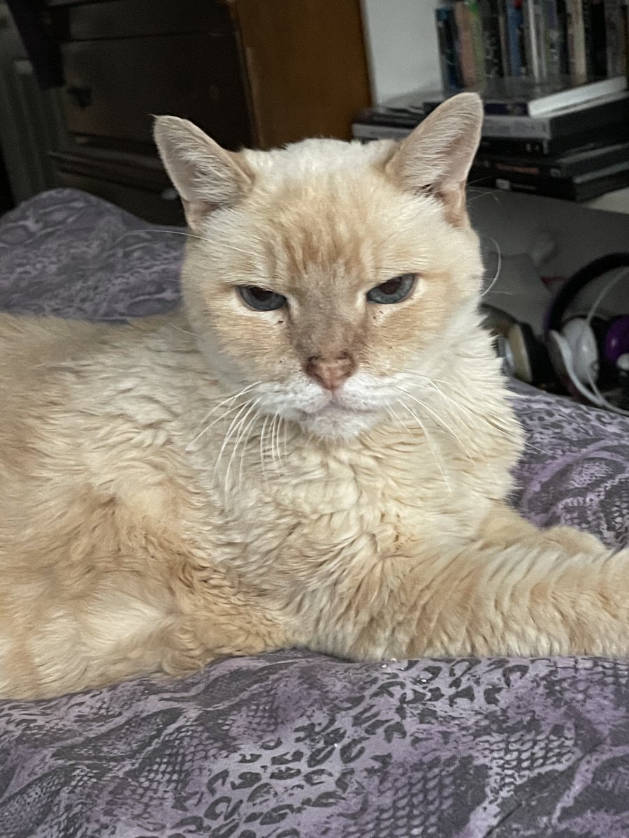 rachael griffin tweet media