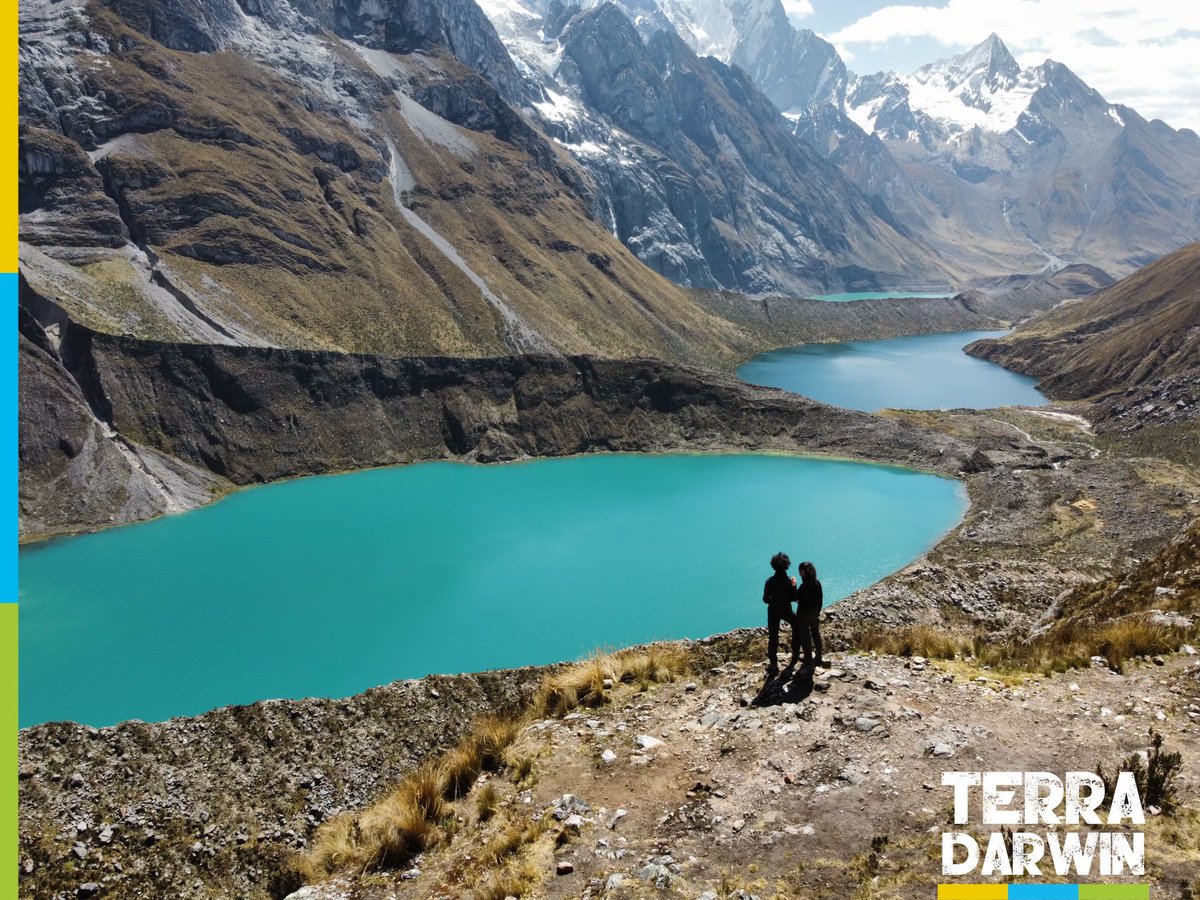 Terra Darwin, le Grand Retour 🦎

Découvrez notre nouveau site, notre nouveau bureau, nos nouveaux articles sur terradarwin.fr 🥰

Magazine spécialisé : #écologie #voyage #nature #animaux #sciences #actualités #mieuxvivre