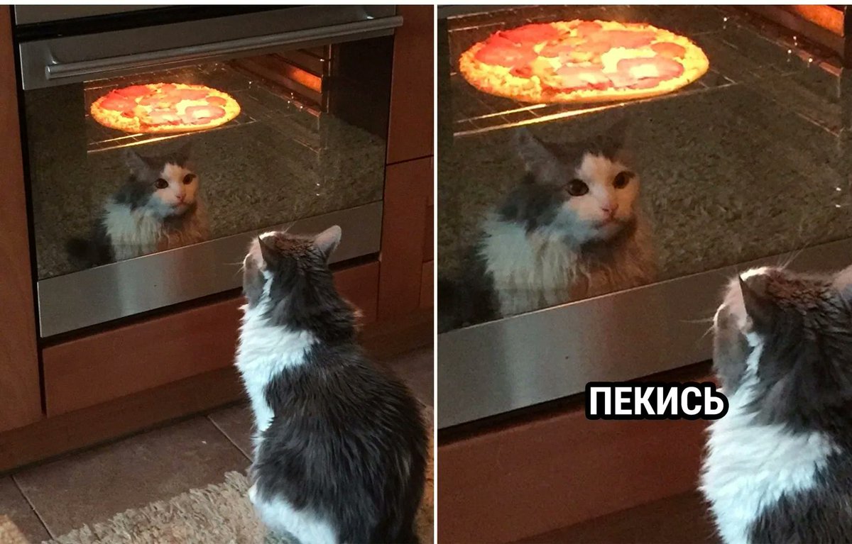 drunktwi's tweet image. Я: Ставлю что-то запекаться в духовку.
Я: Ну всё, теперь у меня есть свободные 40 минут.
Я следующие 40 минут: