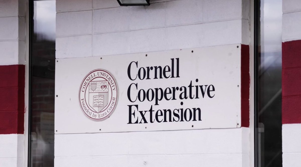 Acumatica tweet media