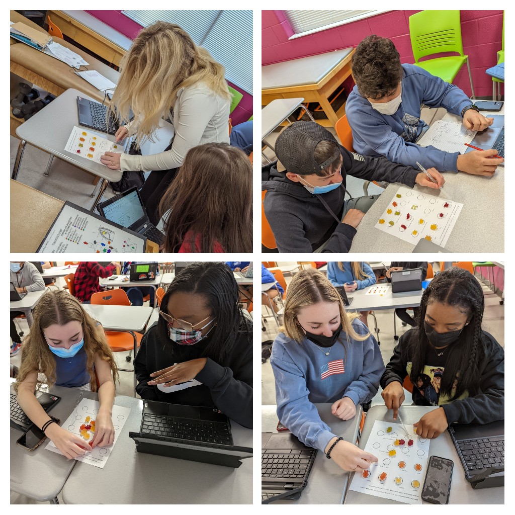 hpagel48's tweet photo. Cutting Gummy Bears🧸makes for a great Friday! #gummybearlab #anatomicalterminology #sportsmed1 @FuquayVarinaHS https://t.co/KTCBJXmD6E