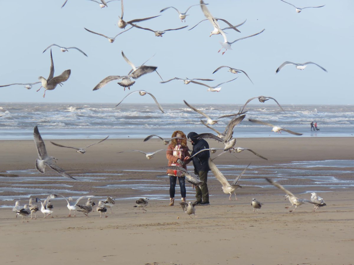 Rule 101: never open your bag of chips on Blackpool Beach!

📷 Jon K Barton