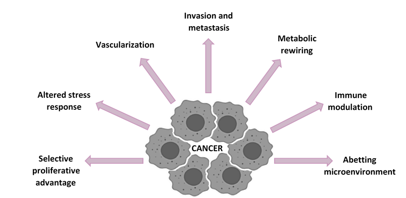 AnaLopezGarza's tweet photo. #Cancer is a collection of related pathologies with more than 200 types of illnesses which may have completely different characteristics -having their own specific causes, development, and treatments- 
Common factor: the more research, the better. #WorldCancerDay #CancerResearch https://t.co/Ep0XyZSUOV