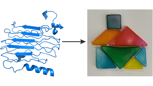 angew_chem's tweet photo. Biosynthetic Structural Proteins with Super Plasticity, Extraordinary Mechanical Performance, Biodegradability, Biocompatibility and Information Storage Ability (Liu) @tsinghua_uni https://t.co/Sk7boQsXiR https://t.co/Sp2yorpYMB