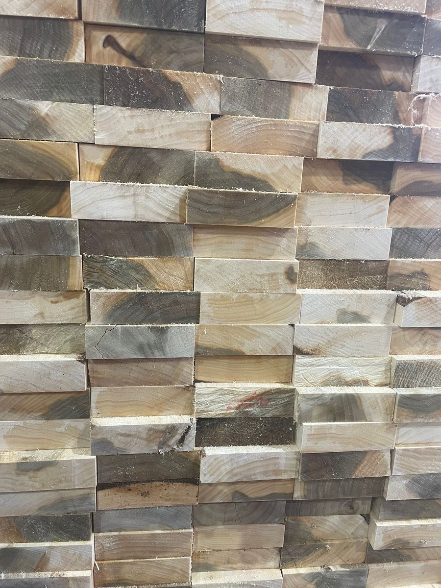 Arc2Principles's tweet image. Houten balken gezaagd voor #WolUniePaviljoen @FloriadeExpo door Kuperus&amp;amp;Gardenier. Ontwerp: @Arc2architecten  @AlmeerseWolunie  arc2.nl/projecten/flor…