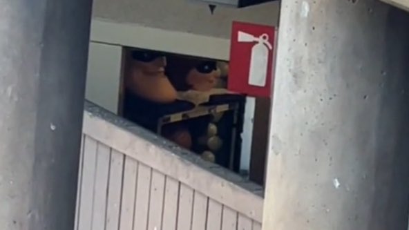 BackDoorDisney tweet media