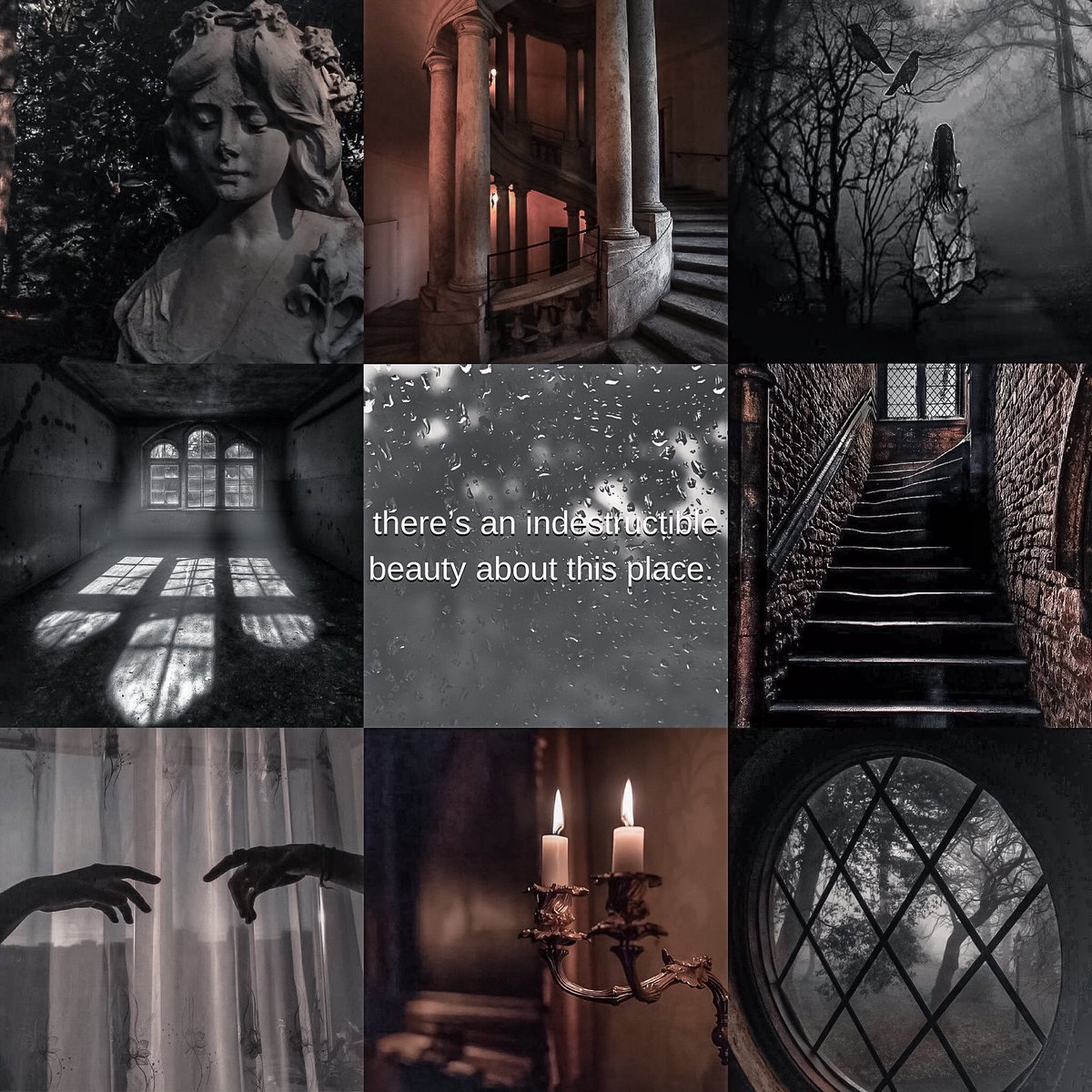 deelizabeth_'s tweet photo. I am ✨thrilled✨ to announce my #AMM mentee pick, @SophieKearing! Her stunning, queer gothic thriller MIRE was beautiful, haunting, and terrifying in all the best ways. Cannot wait for the world to know her words!!!! #AMMr9 #AMMfam #WritingCommunity https://t.co/Wb8cL9pNXn