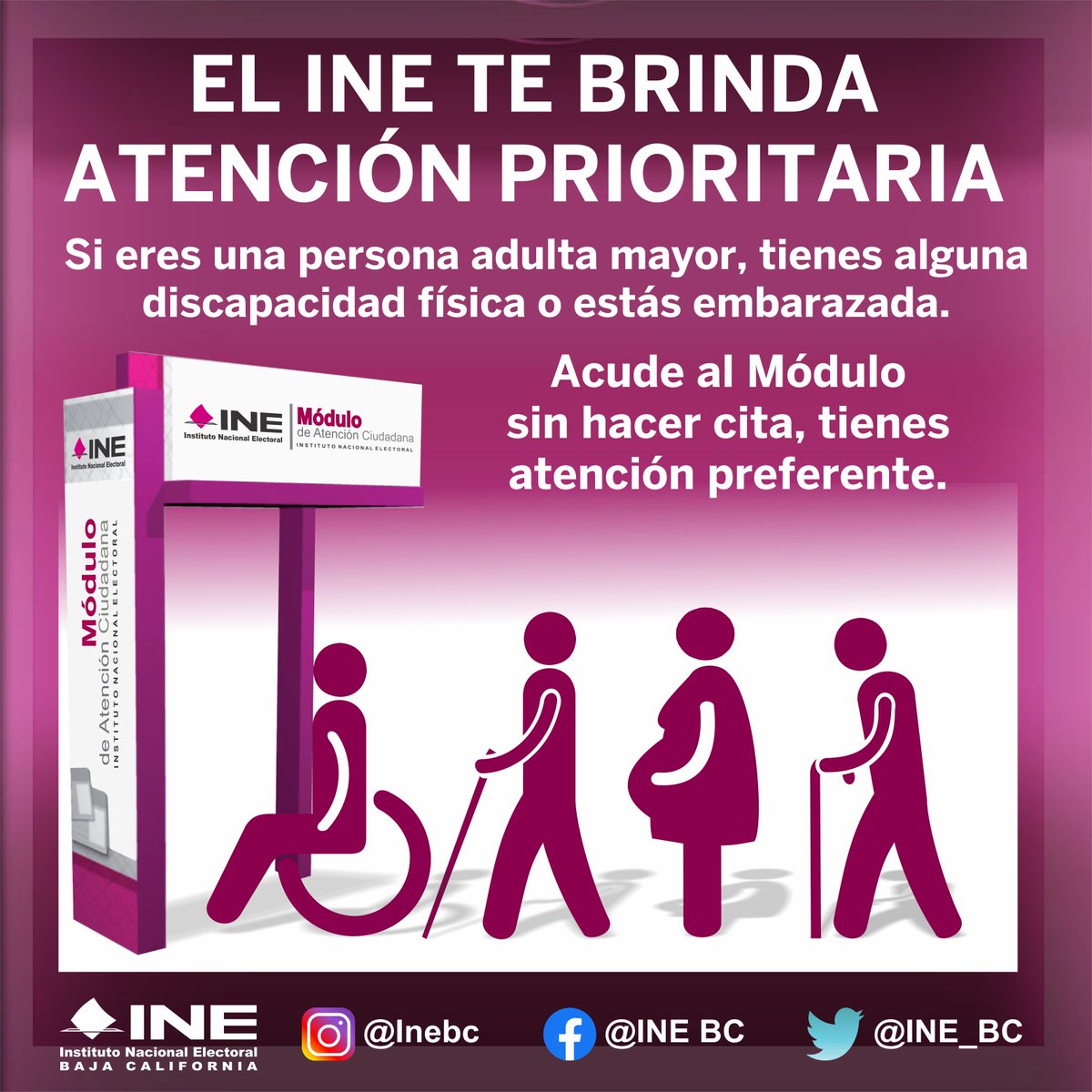 INE_BC's tweet photo. El #INE brinda atención prioritaria a personas de la tercera edad👨‍🦳👩‍🦳, con discapacidad ♿️ y mujeres embarazadas🤰.
Pueden acudir sin necesidad de tener una cita programada. Acude a cualquiera de los Módulos de Atención y obtén tu #CredencialParaVotar https://t.co/Y9QbFMop5U