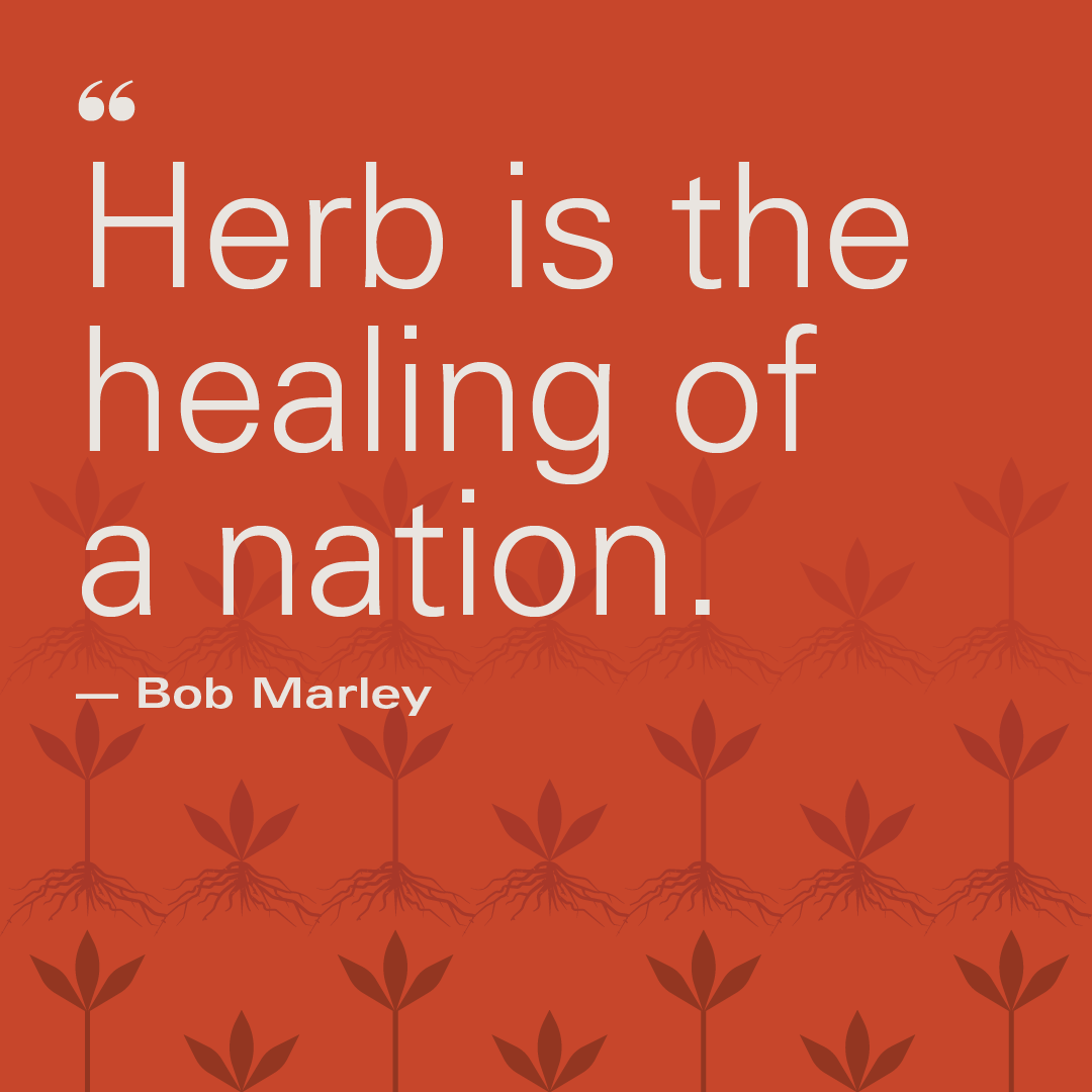 HG_NFT's tweet photo. Bob Marley said it best.

If you're into value packed NFTs and alternative natural solutions for wellness, stay tuned for our NFT drop! We're dedicated to bringing wellness to Web3.

#cbdwellness #cbd #hemp #NFTs #NFT #NFTCommunity #NFTdrop #nftart #NFTCollection #nftproject https://t.co/HQ94UYxK1o
