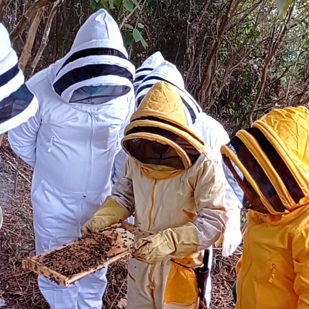 ¡Que comience el Proyecto Apícola! 🐝 Los representantes del área social y ambiental de Covipacífico y el técnico agropecuario de la Umata se reunieron para definir el desarrollo del proyecto que vinculará a 6 apicultores de La Otramina y La Falda del Cauca. 👏 #TodosPorTitiribí